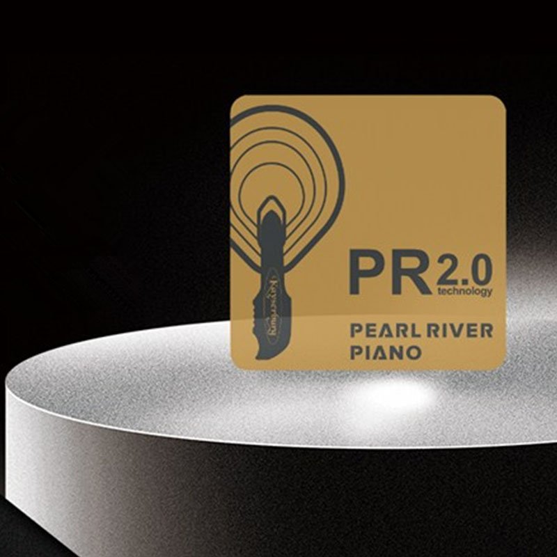 PR2.0 Hammer Logo