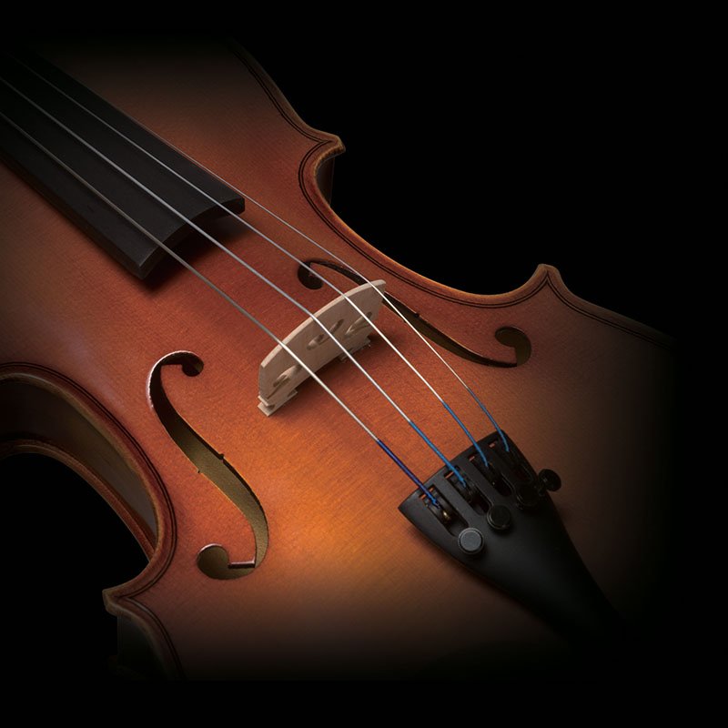 Pearl River Violin