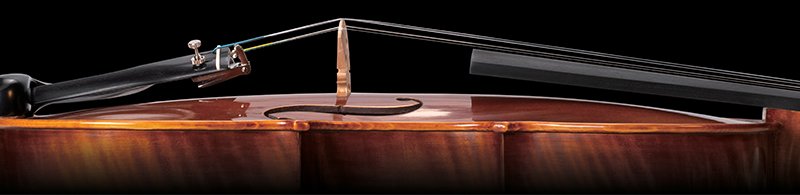 Pearl River Violin